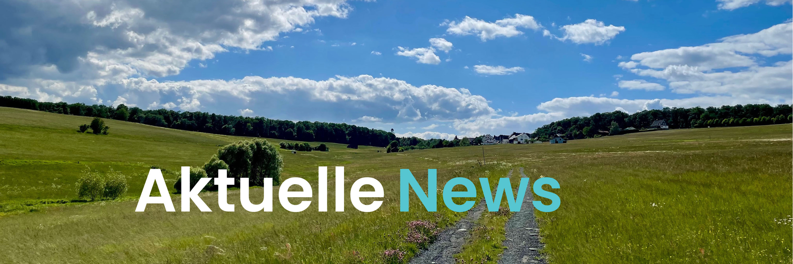 Die Wirtschaft muss brummen. Nicht der Kopf.